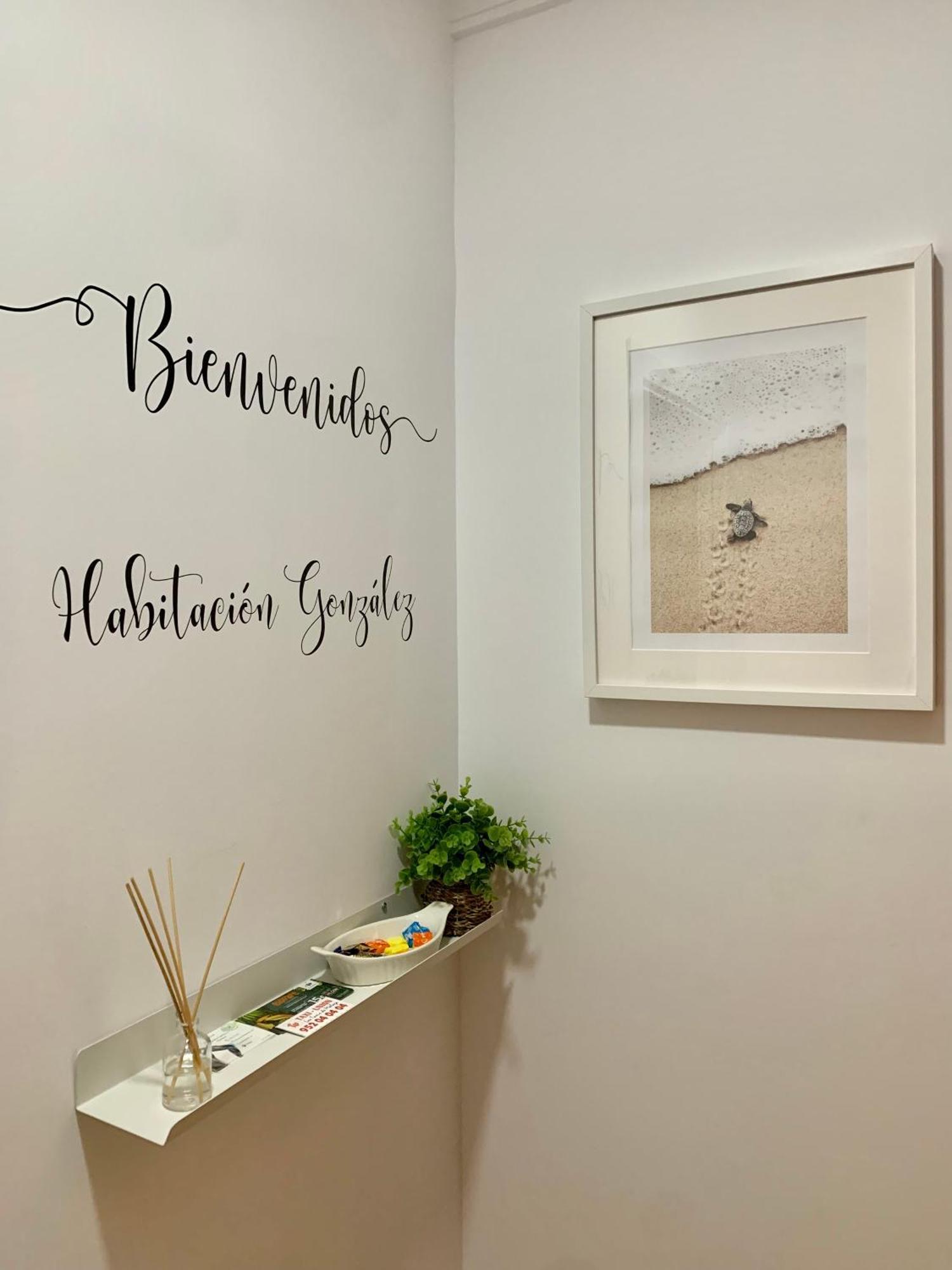 Habitacion Gonzalez Málaga Eksteriør bilde